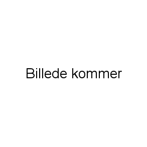 Kursus / undervisning